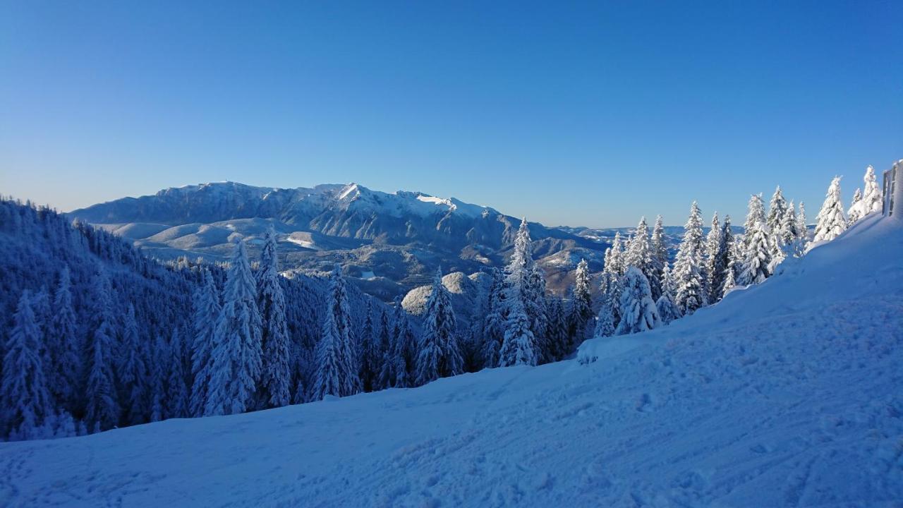 Apartament 2706 Alpin Resort, Etaj 7, Poiana Brasov Bagian luar foto