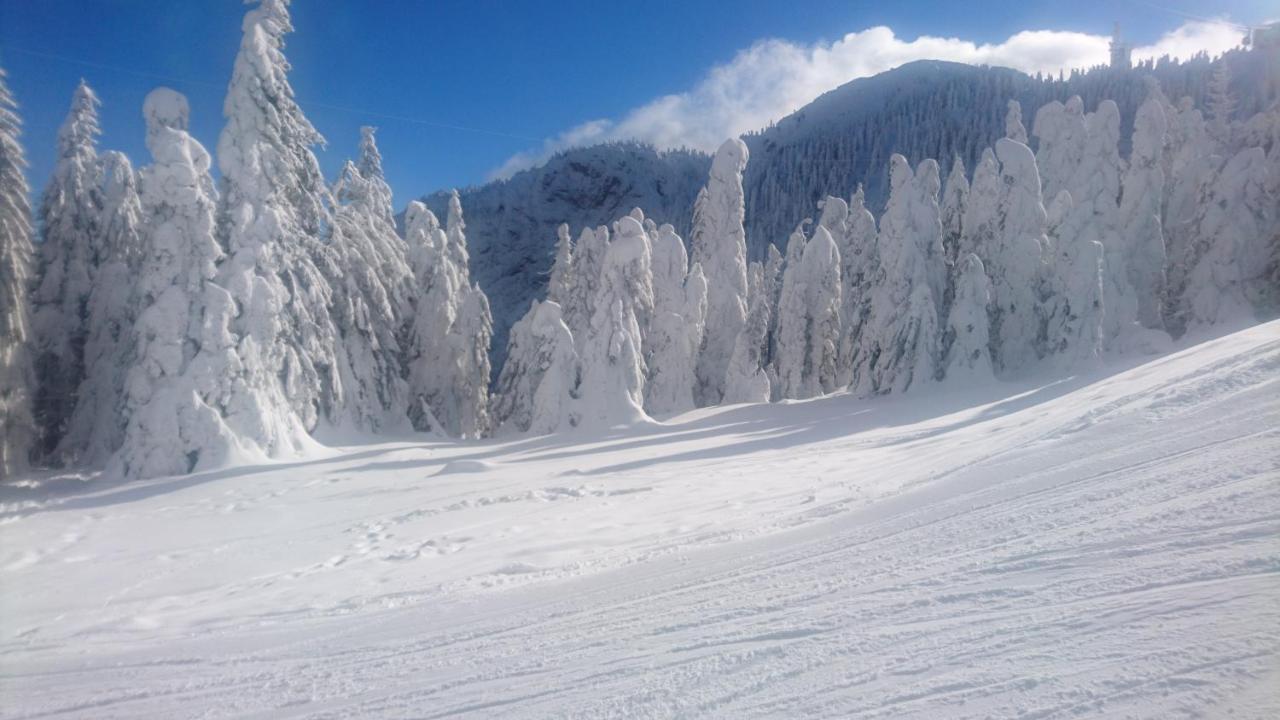 Apartament 2706 Alpin Resort, Etaj 7, Poiana Brasov Bagian luar foto